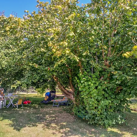 Am Recknitzhang Appartement