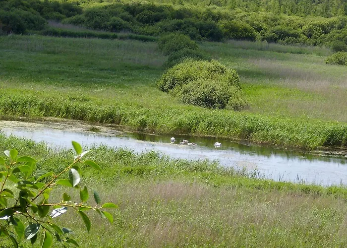 Am Recknitzhang Carlewitz